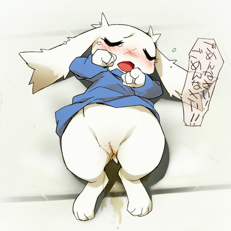 Rule34 – If it exists, there is porn of it / cotora, mimiga, sue sakamoto / 345034