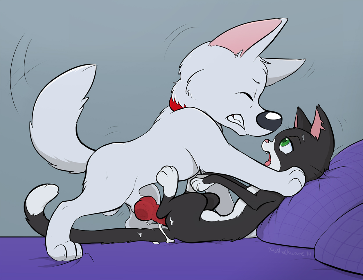 Rule34 – If it exists, there is porn of it / ryoshockwave, bolt (character) / 345919