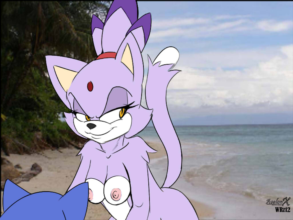 Rule34 – If it exists, there is porn of it / aval0nx, blaze the cat, sonic the hedgehog / 346226