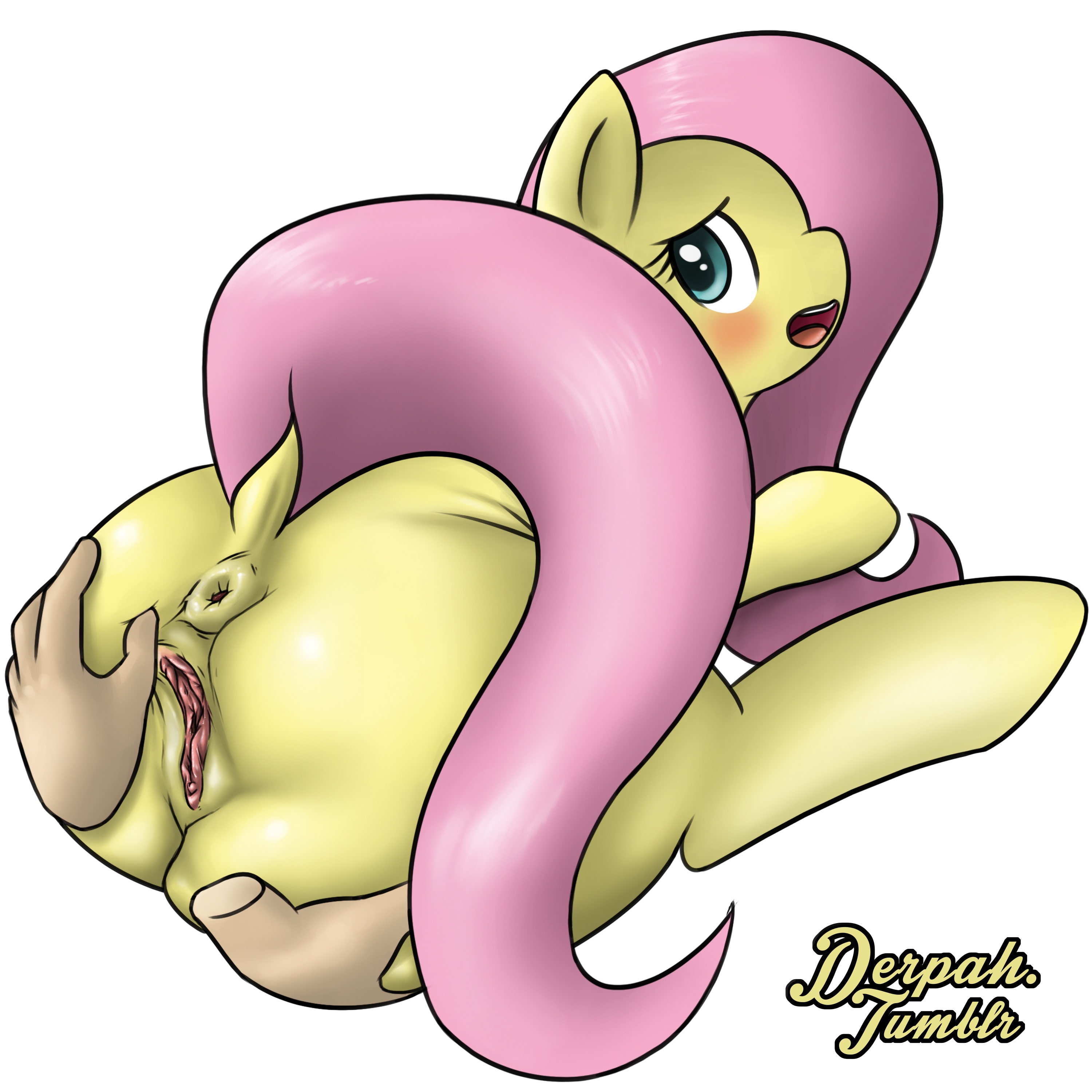 Rule34 – If it exists, there is porn of it / derpah, fluttershy (mlp) / 346332