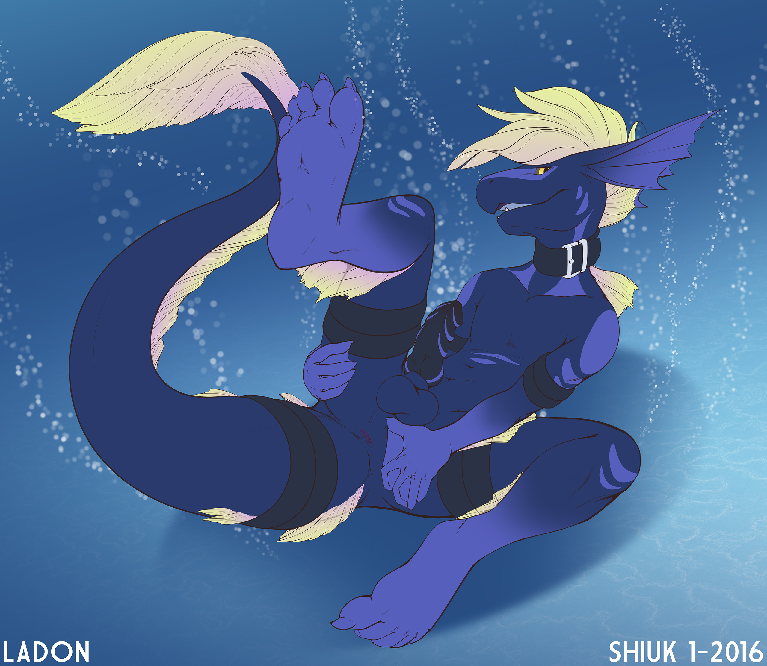 Rule34 – If it exists, there is porn of it / shiuk / 348850