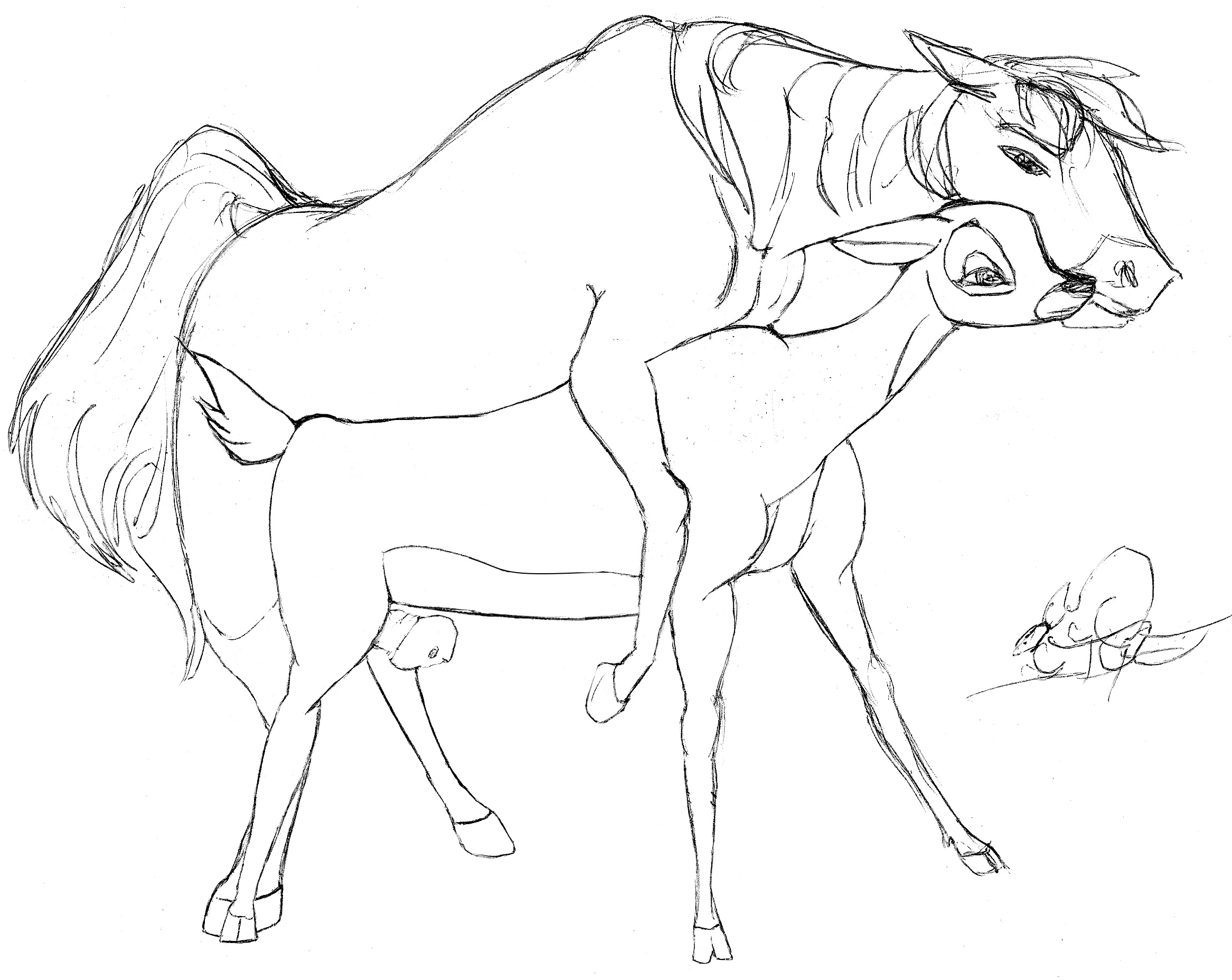 Rule34 – If it exists, there is porn of it / queensmate, bambi, faline, spirit (cimarron) / 349408