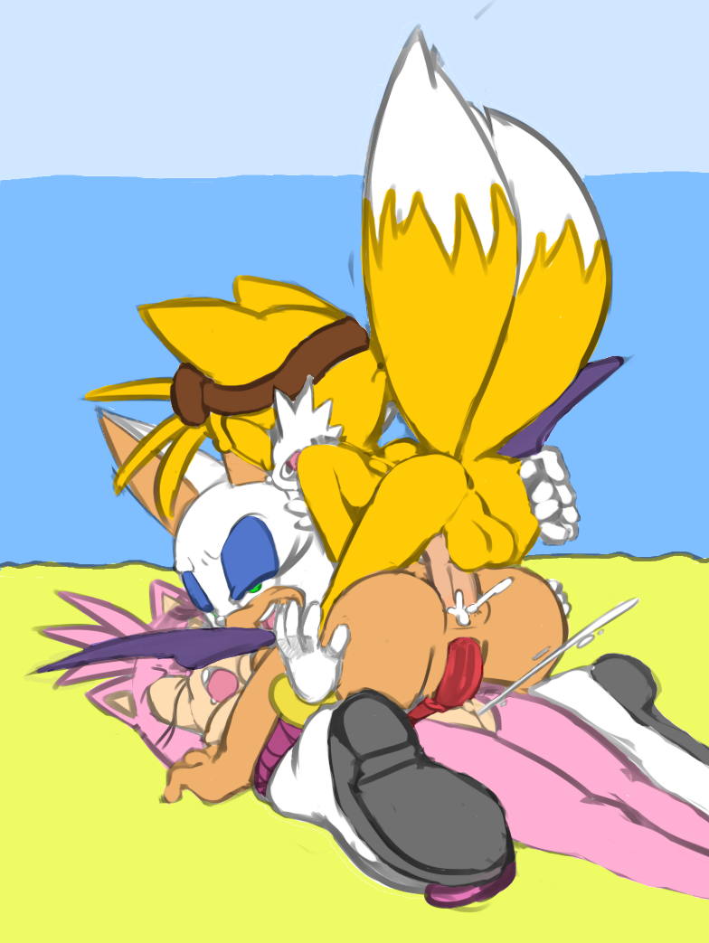 Rule34 – If it exists, there is porn of it / hotred, amy rose, rouge the bat, tails / 351000