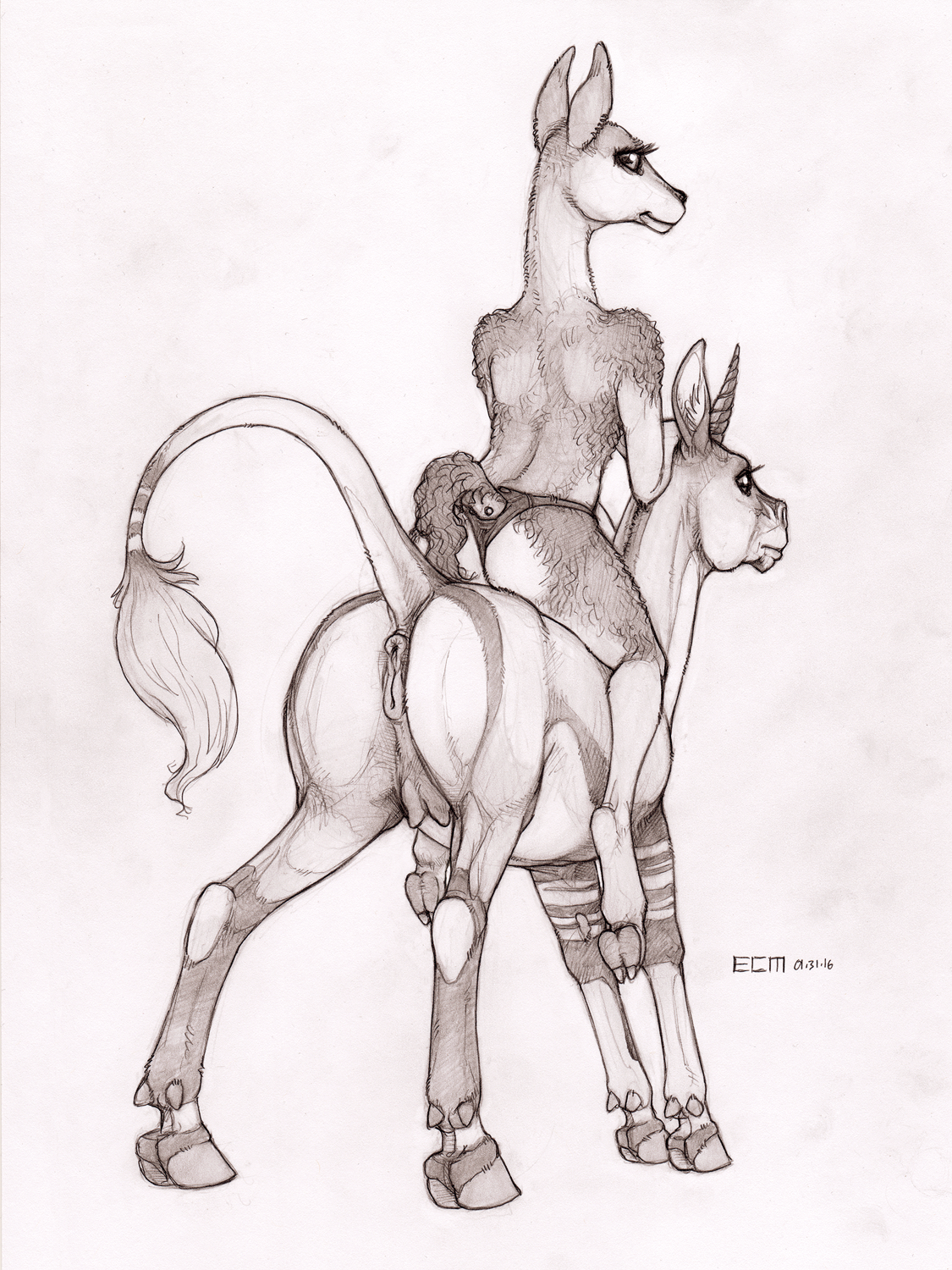 Rule34 – If it exists, there is porn of it / ecmajor / 354155