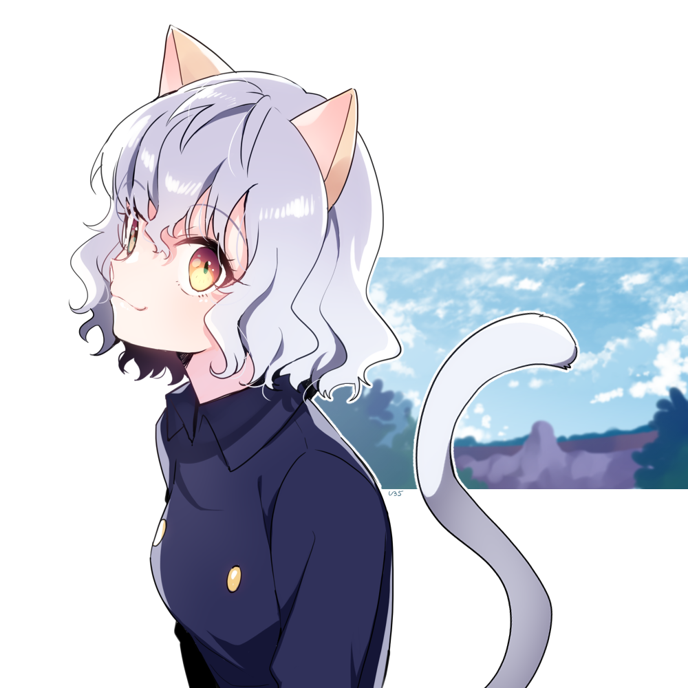 u35, neferpitou, hunter x hunter, commentary, 1other, animal ears, blue sky, blush, cat ears, cat tail, closed mouth, cloud, eyelashes, grey hair, hair between eyes, looking at viewer, short hair, simple background, sky, solo, tail, upper body, white background
