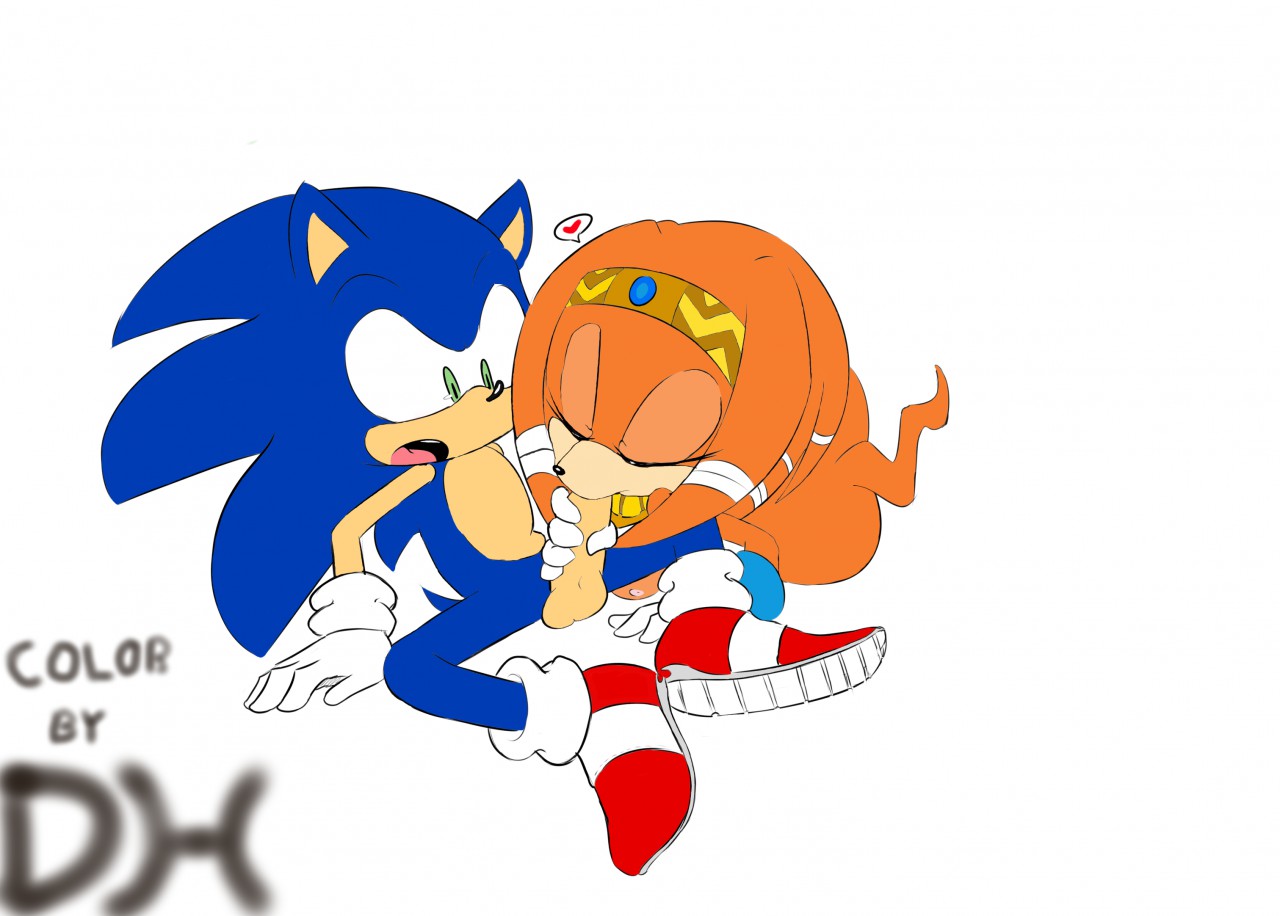 Rule34 – If it exists, there is porn of it / hearlesssoul, sonic the hedgehog, tikal the echidna / 354686