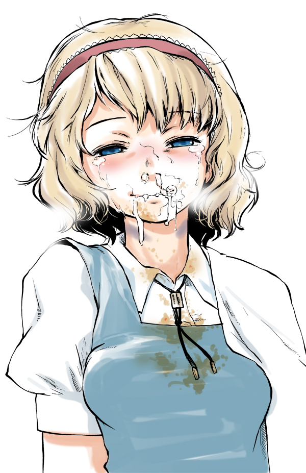 Rule34 – If it exists, there is porn of it / tomotsuka haruomi, alice margatroid / 354720