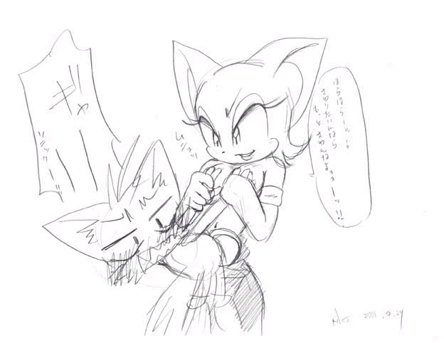 Rule34 – If it exists, there is porn of it / rouge the bat, tails / 355065