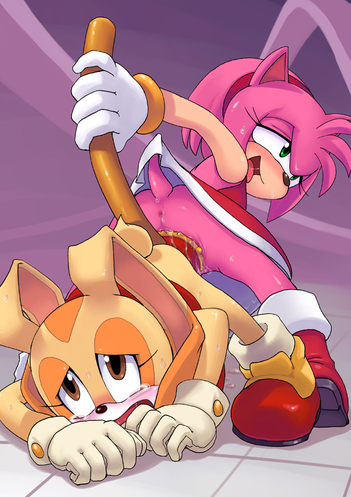 Rule34 – If it exists, there is porn of it / tojyo, amy rose, cream the rabbit, sonic the hedgehog / 355224