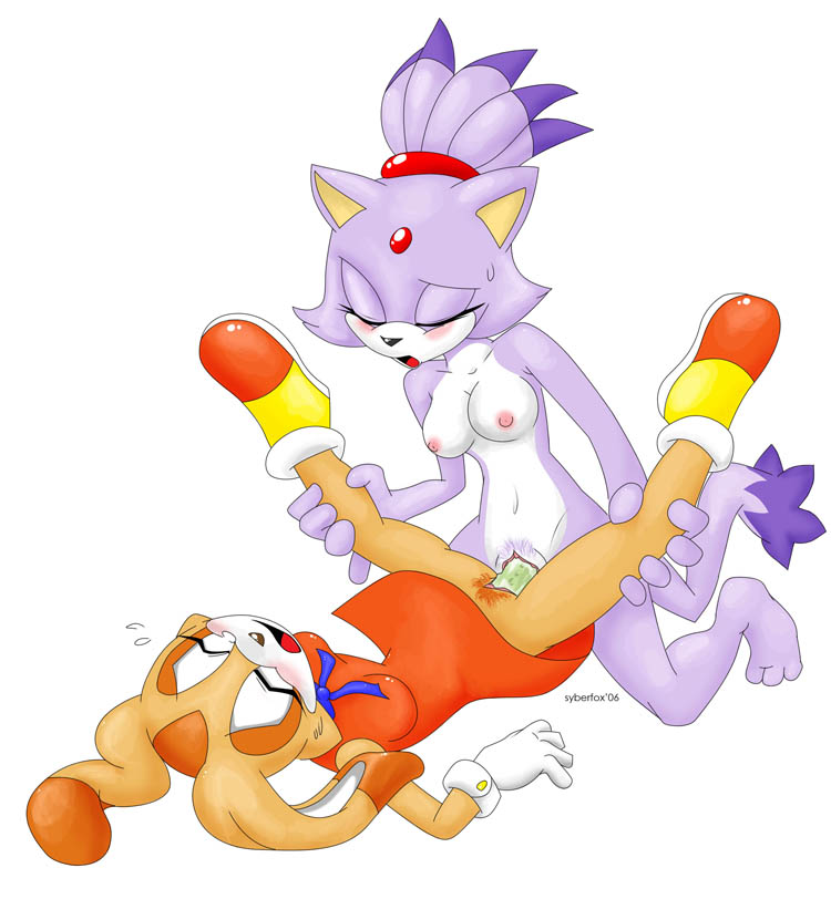 Rule34 – If it exists, there is porn of it / syberfox, blaze the cat, cream the rabbit / 355533
