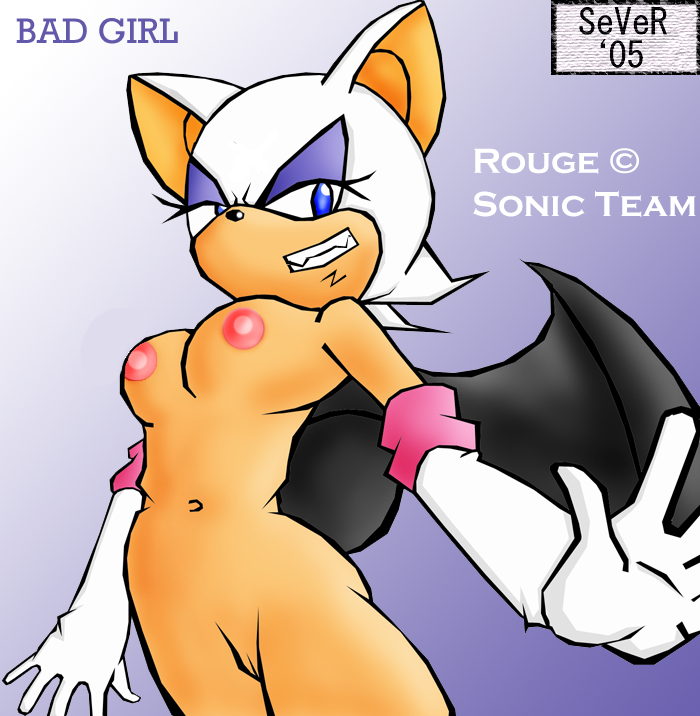 Rule34 – If it exists, there is porn of it / rouge the bat / 355539