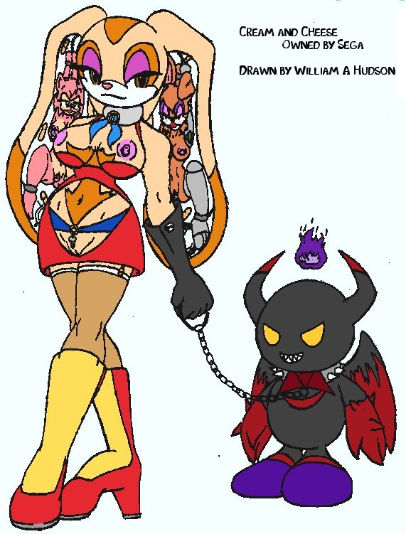 Rule34 – If it exists, there is porn of it / amy rose, bunnie rabbot, cream the rabbit / 356057