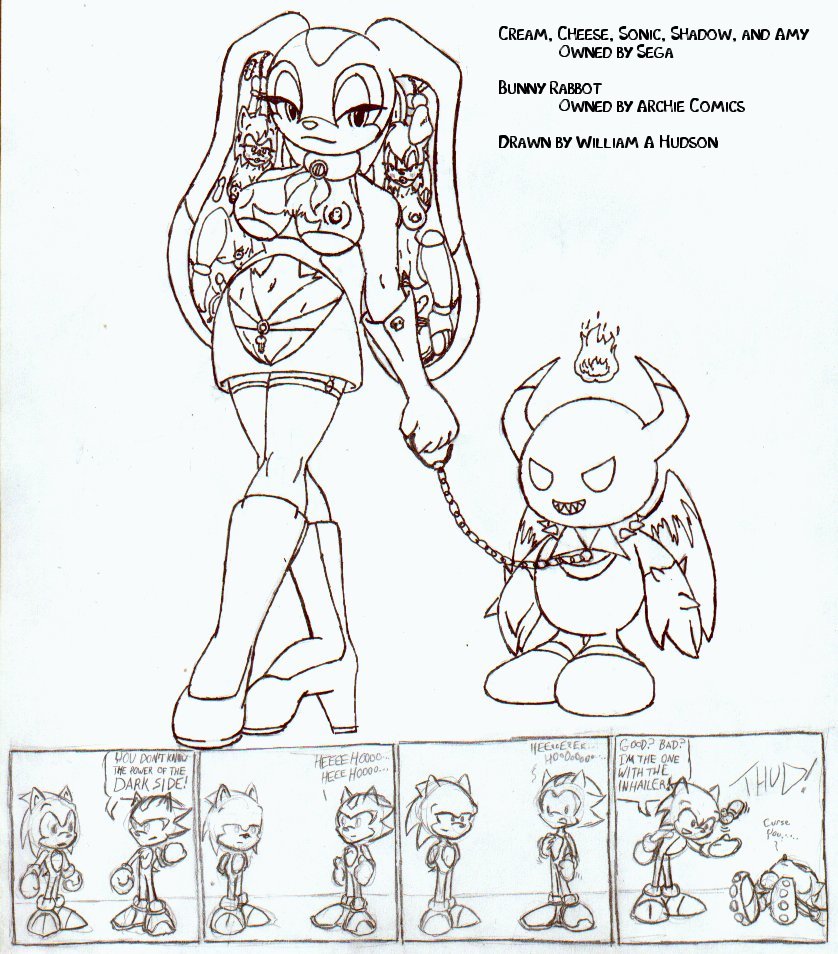 Rule34 – If it exists, there is porn of it / amy rose, bunnie rabbot, cream the rabbit / 356066