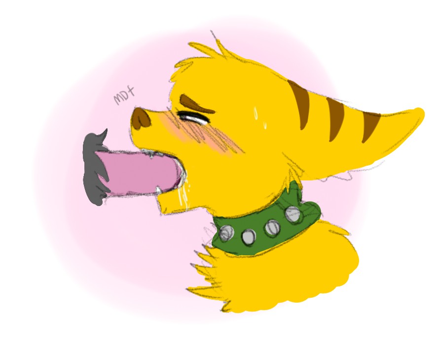 Rule34 – If it exists, there is porn of it / maddogfan, ratchet / 356161