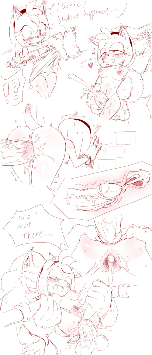 Rule34 – If it exists, there is porn of it / 7624cq, amy rose, sonic the werehog / 356327