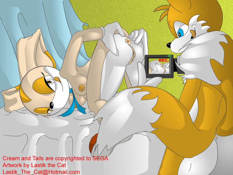 Rule34 – If it exists, there is porn of it / lastik the cat, cream the rabbit, tails / 356371