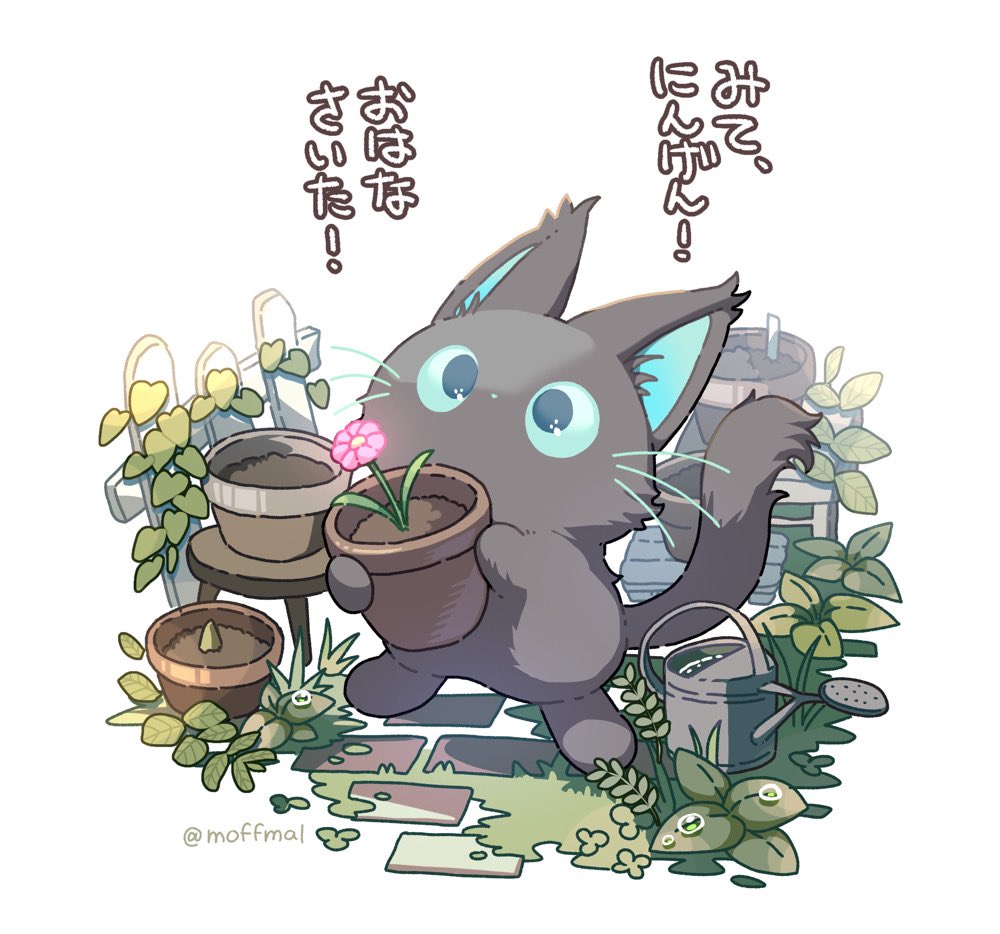 hoshikuzu pan, original, commentary request, translation request, animal, animal focus, blue eyes, cat, flower, flower pot, holding, holding flower pot, leaf, no humans, pink flower, simple background, solo, twitter username, watering can, white background