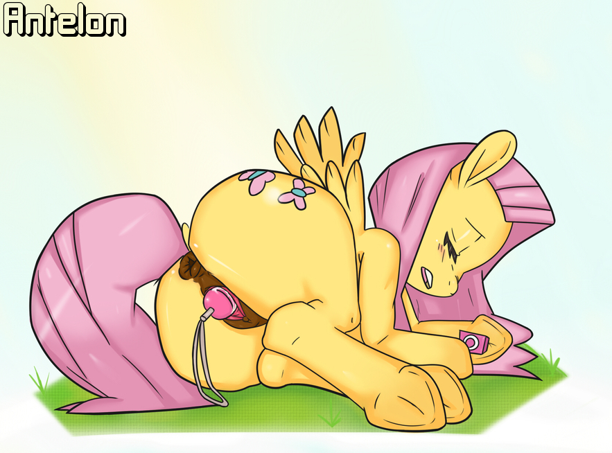 Rule34 – If it exists, there is porn of it / antelon, fluttershy (mlp) / 356551