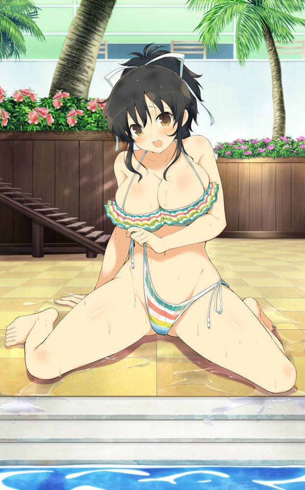 yaegashi nan, asuka (senran kagura), senran kagura, senran kagura new wave, senran kagura shoujo-tachi no shin'ei, official art, 1girl, armpit crease, bikini, blush, body blush, breasts, brown eyes, brown hair, cleavage, collarbone, embarrassed, flower, flower box, frilled bikini, frills, hair between eyes, hair ribbon, large breasts, looking at viewer, multicolored bikini, multicolored stripes, navel, open clothes, open mouth, palm tree, pink flower, ponytail, poolside, rainbow bikini, ribbon, shiny skin, short hair, short ponytail, side-tie bikini bottom, sidelocks, sitting, solo, stairs, striped bikini, striped clothes, swimsuit, teeth, tree, tying bikini, untied bikini, upper teeth only, wardrobe malfunction, wariza, water, wet, white ribbon, wooden stairs