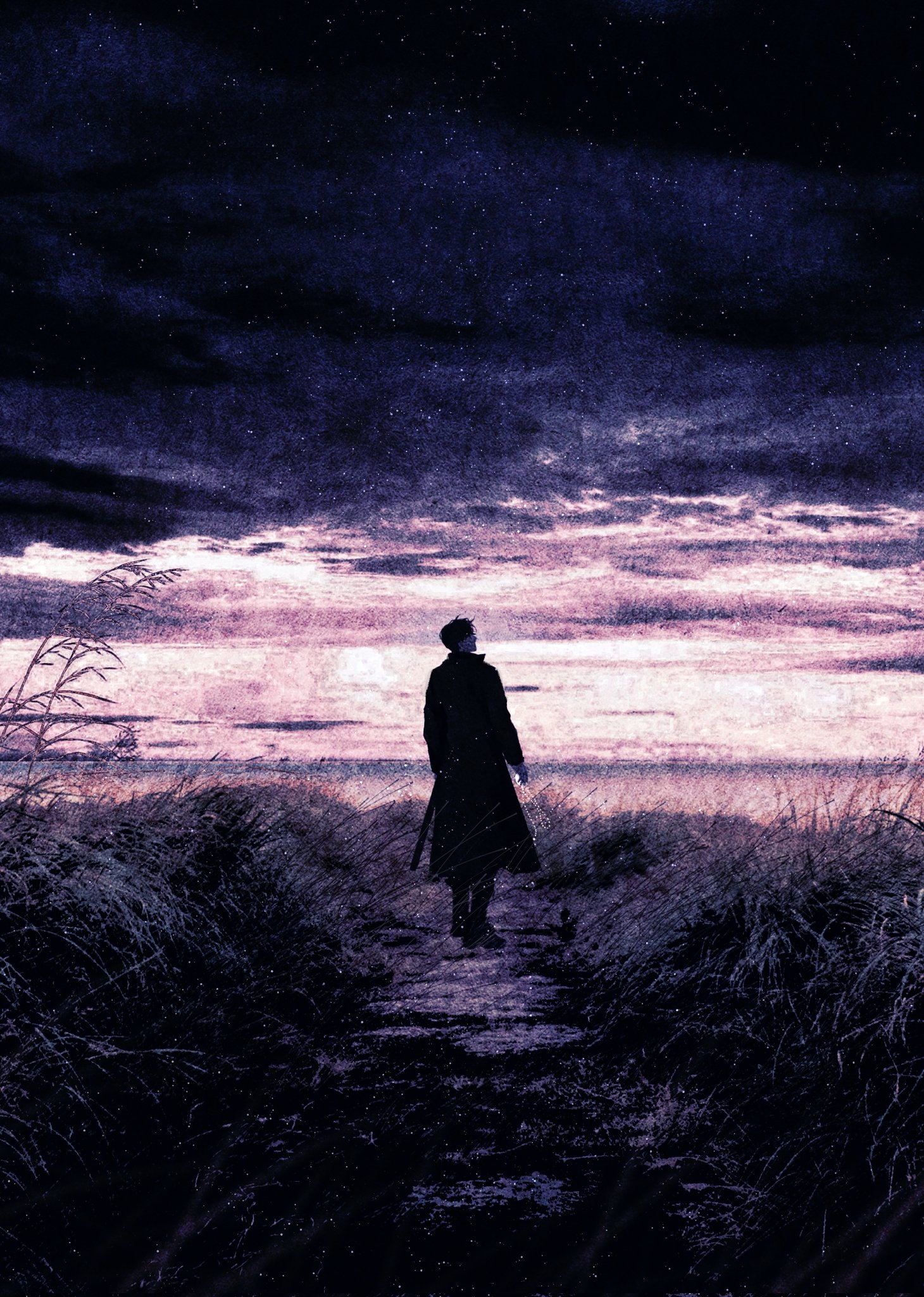 bellta (kimbellta), yoo joonghyuk, omniscient reader's viewpoint, commentary request, highres, korean commentary, 1boy, cloud, cloudy sky, coat, dirt road, field, from behind, full body, horizon, male focus, night, open clothes, open coat, road, scabbard, sheath, short hair, silhouette, sky, solo, standing, star (sky), starry sky, sunset