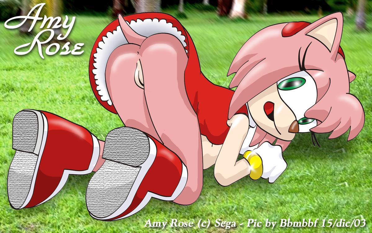 Rule34 – If it exists, there is porn of it / bbmbbf, amy rose / 357319