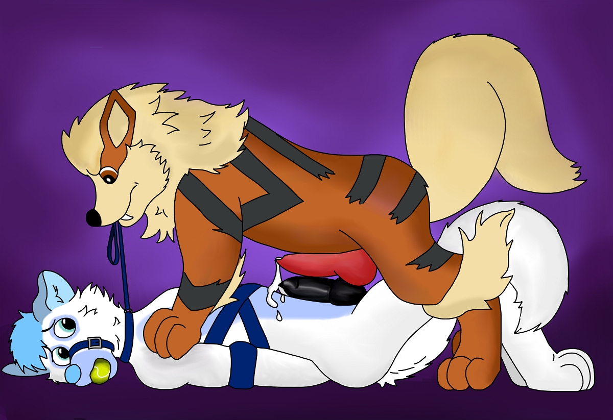 Rule34 – If it exists, there is porn of it / arcanine / 357558