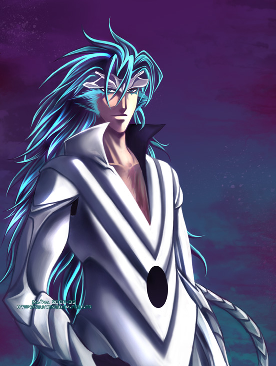 maevachan, grimmjow jaegerjaquez, bleach, blue eyes, blue hair, long hair, resurreccion, solo, tail, very long hair