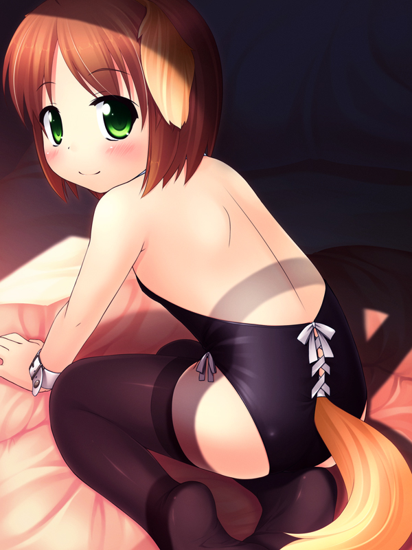 inuarashi, meiko (inuarashi), original, 1girl, animal ears, back, backless leotard, backless outfit, bare back, brown hair, child, dog ears, dog tail, female focus, green eyes, leotard, looking back, nontraditional playboy bunny, playboy bunny, solo, tail, thighhighs