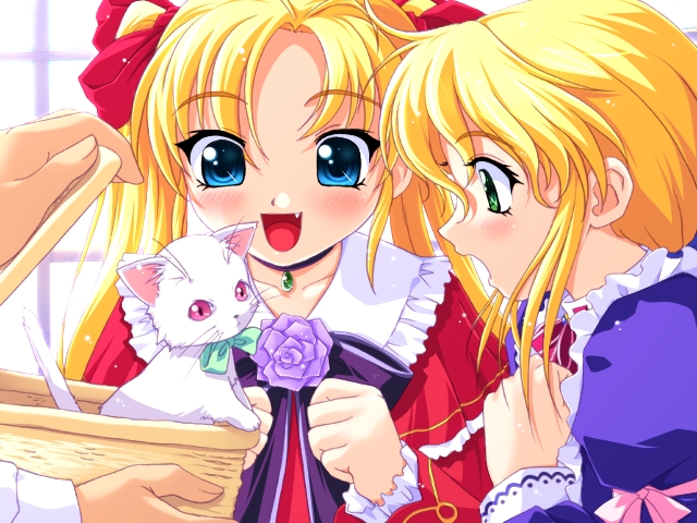 nonohara miki, ena (fifth twin), lina, lina (fifth twin), fifth twin, 1boy, 2girls, blonde hair, blush, cat, male hands, multiple girls, twintails