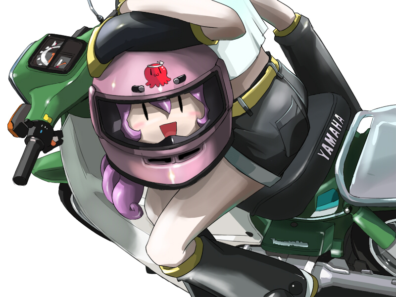 haya-g, ikusotsu, kagamine rin, megurine luka, takoluka, vocaloid, vehicle, 1girl, :3, helmet, motor vehicle, motorcycle, octopus, smile, | |