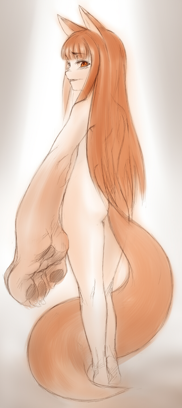 kuontendou, holo, spice and wolf, highres, 00s, 1girl, animal ears, animal hands, ass, barefoot, brown eyes, brown hair, female focus, from behind, grin, long hair, looking back, nude, sketch, smile, solo, tail, transformation, wolf ears, wolf tail
