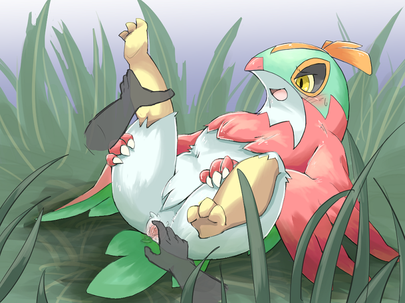 Rule34 – If it exists, there is porn of it / hyakkankan, hawlucha / 407233