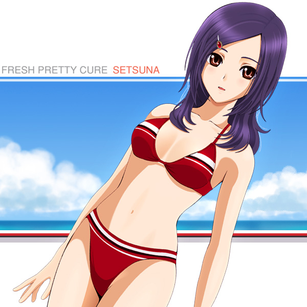 sekken kasu barrier, higashi setsuna, fresh precure!, precure, 00s, 1girl, bikini, brown eyes, cloud, day, dutch angle, female focus, hair ornament, hairclip, long hair, ocean, purple hair, sky, solo, summer, swimsuit