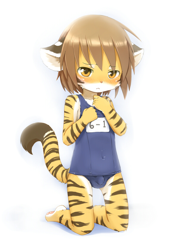 ka (pixiv341010), kagerofu, 1boy, animal ears, animal hands, barefoot, blush, bulge, crossdressing, crossdressing (mtf), feet, full body, furry, furry male, gradient background, kneeling, male focus, one-piece swimsuit, pawpads, school swimsuit, shota, soles, solo, swimsuit, tail, tiger, tiger ears, tiger tail, trap, yellow eyes