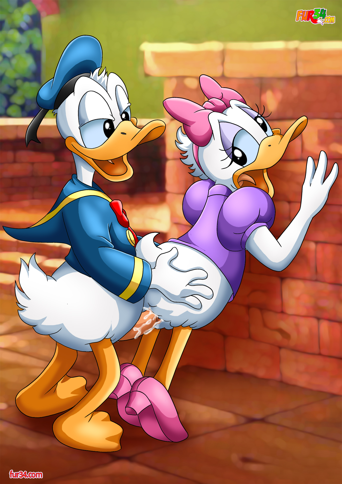 Rule34 – If it exists, there is porn of it / daisy duck, donald duck / 408068