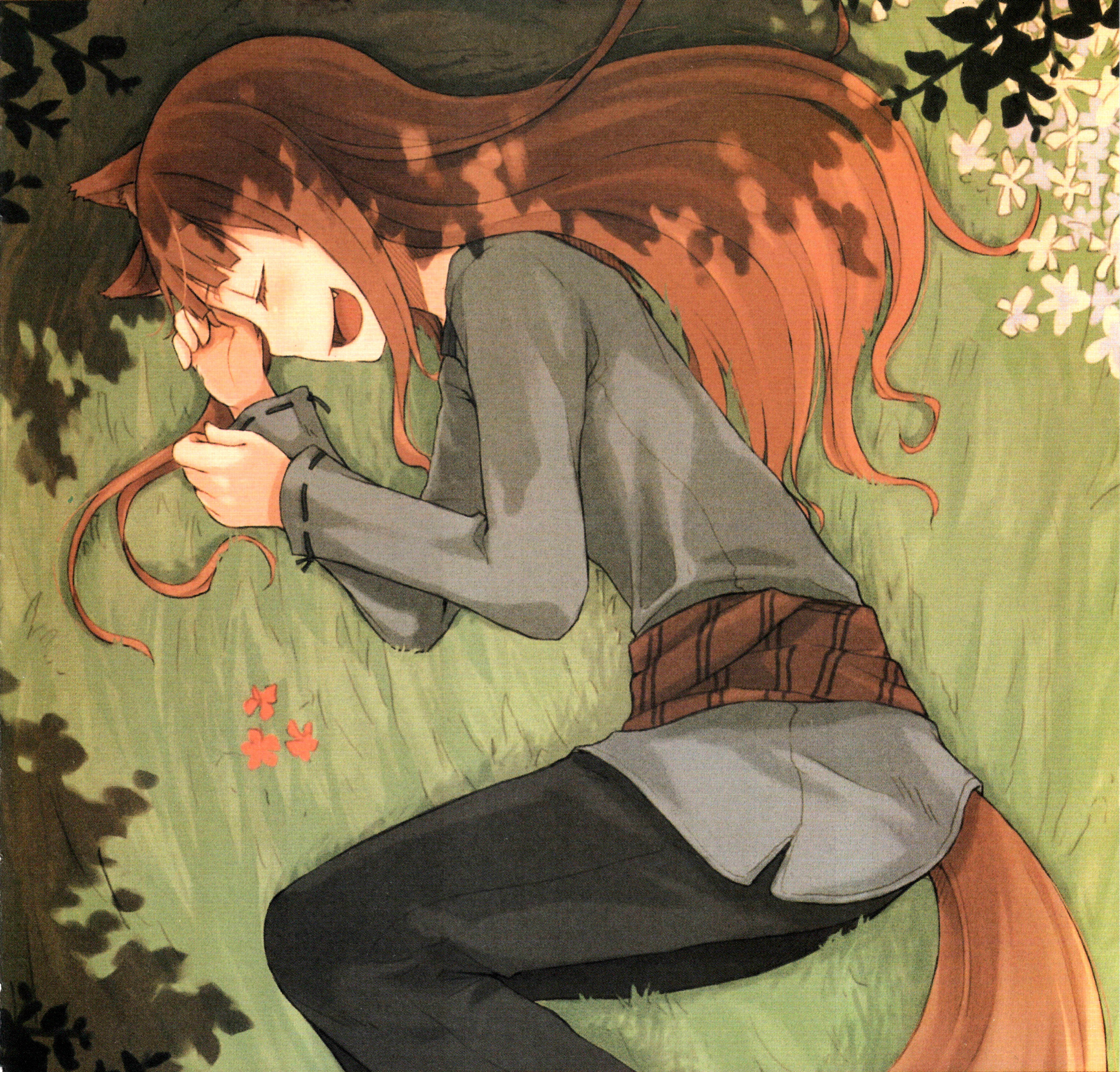 ayakura juu, holo, spice and wolf, absurdres, highres, official art, scan, 00s, 1girl, animal ears, brown hair, closed eyes, fang, female focus, light novel, long hair, lying, nature, outdoors, smile, solo, tail, wolf ears, wolf tail