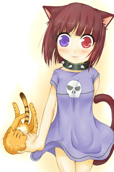 haty, ragnarok online, commentary request, 1girl, animal, animal ears, blush, brown hair, cat, cat ears, cat girl, cat tail, closed mouth, collar, cowboy shot, dress, heterochromia, holding, holding animal, holding cat, looking at viewer, nyuu (ragnarok online), orange cat, purple dress, purple eyes, red eyes, short hair, short sleeves, smile, solo, spiked collar, spikes, tail, white background