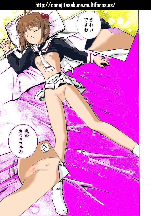 Rule34 – If it exists, there is porn of it / kinomoto sakura / 409248