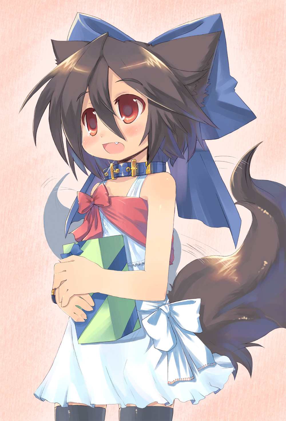 toba hiyoko, kannagi cocoa, original, highres, 1girl, animal ears, blush, bow, brown hair, child, collar, dog ears, dog tail, dress, fang, female focus, gift, hair bow, holding, holding gift, red eyes, short hair, solo, tail, tail wagging, thighhighs