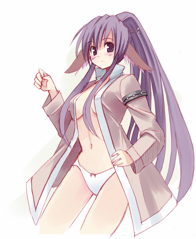 seo tatsuya, touka (utawarerumono), utawarerumono, 00s, 1girl, animal ears, blush, cropped legs, female focus, hand on own hip, head wings, hip focus, long hair, open clothes, open shirt, panties, ponytail, purple hair, shirt, solo, underwear, wings