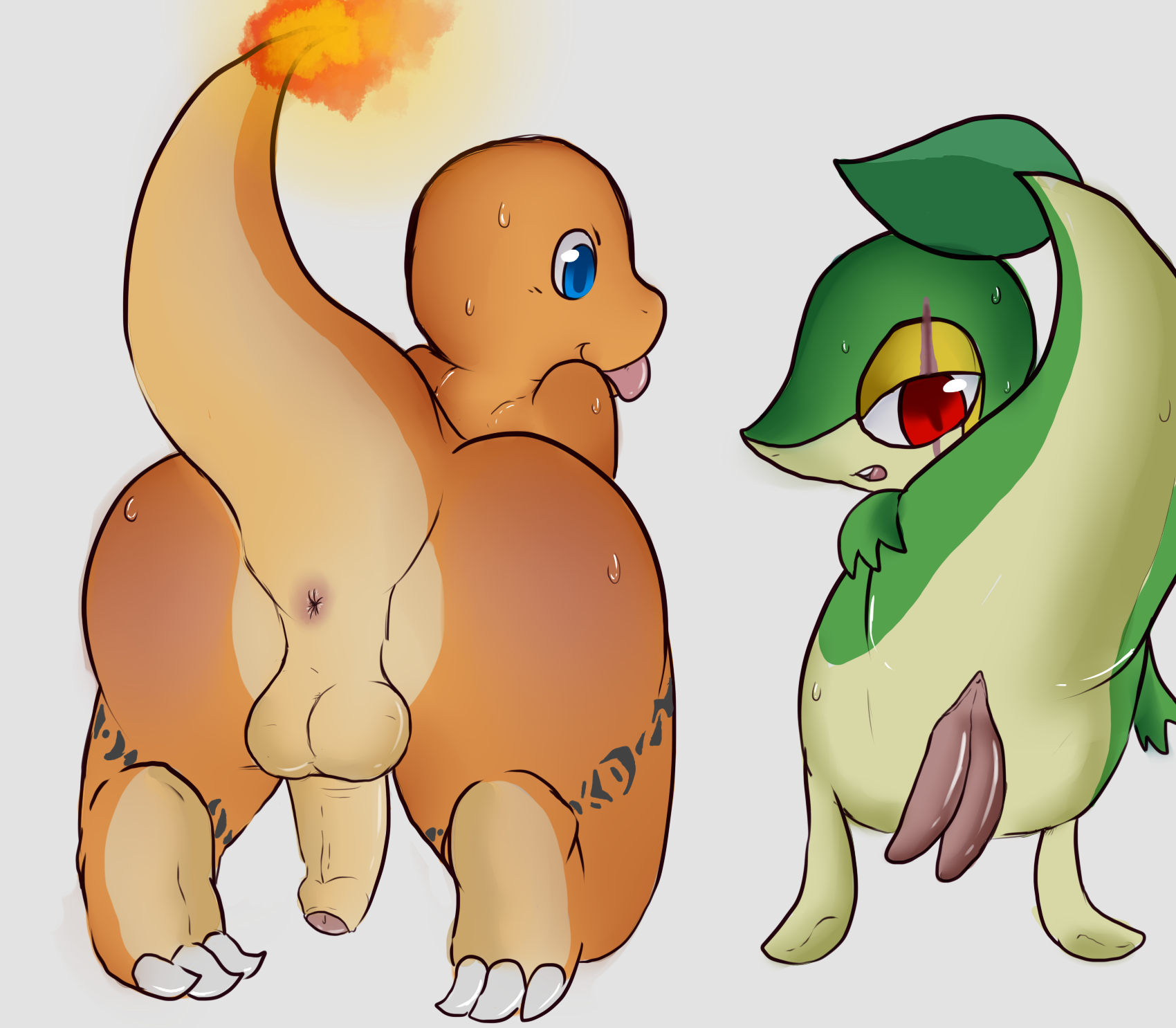 Rule34 – If it exists, there is porn of it / eroborus, charmander, snivy / 409474
