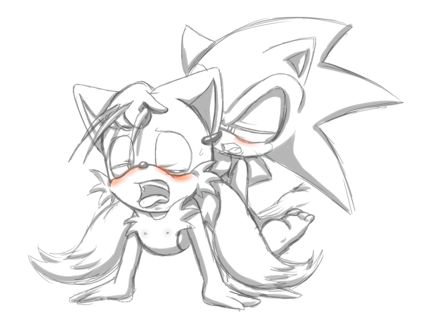 Rule34 – If it exists, there is porn of it / redkelv, sonic the hedgehog, tails / 409865