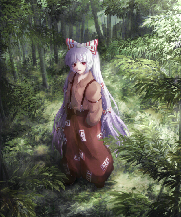 kurosukey, fujiwara no mokou, touhou, silver hair, 1girl, bamboo, bamboo forest, female focus, forest, from above, hair ribbon, hands in pockets, long hair, looking up, nature, red eyes, ribbon, solo, suspenders