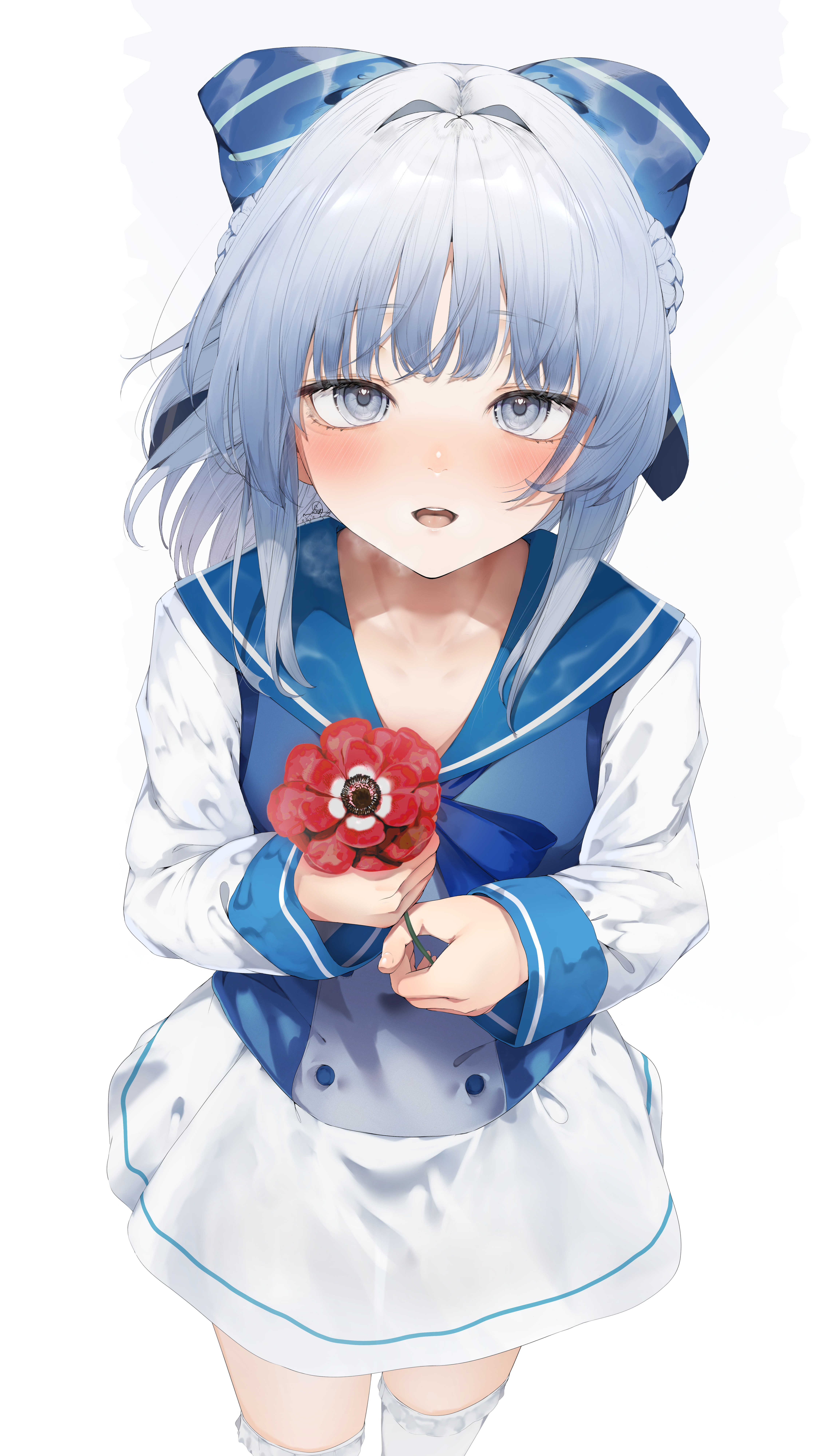 kisaragi yaya, kobotoke nagi, irodorimidori, absurdres, commentary request, commission, highres, skeb commission, 1girl, blue neckerchief, blue ribbon, blue sailor collar, blue vest, blush, collarbone, cowboy shot, flower, from above, grey eyes, grey hair, hair ribbon, holding, holding flower, long hair, long sleeves, looking at viewer, neckerchief, open mouth, red flower, ribbon, sailor collar, shirt, simple background, skirt, solo, standing, teeth, thighhighs, upper teeth only, vest, white background, white shirt, white skirt, white thighhighs