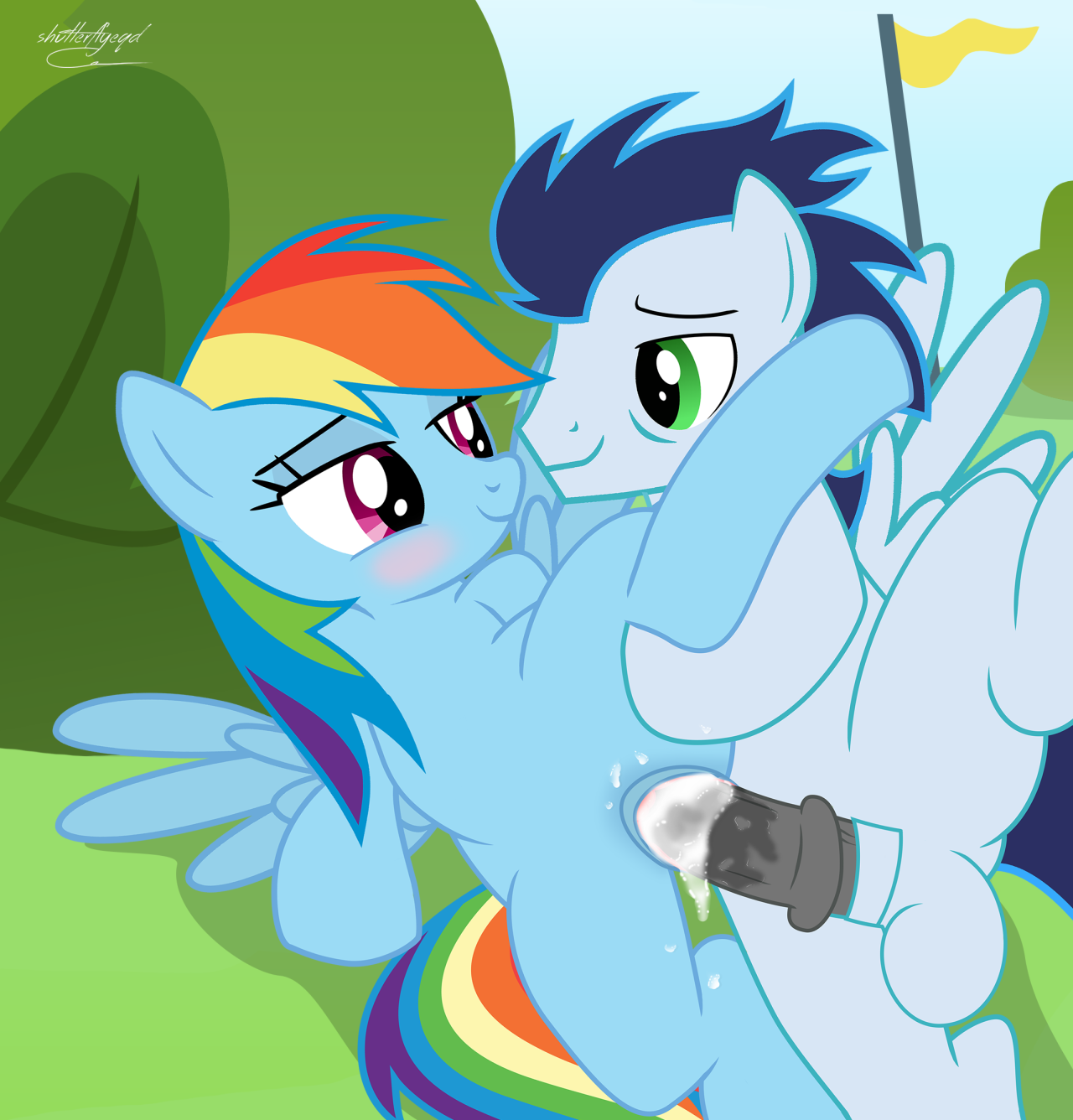 Rule34 – If it exists, there is porn of it / shutterflyeqd, rainbow dash (mlp), soarin (mlp), wonderbolts (mlp) / 410567