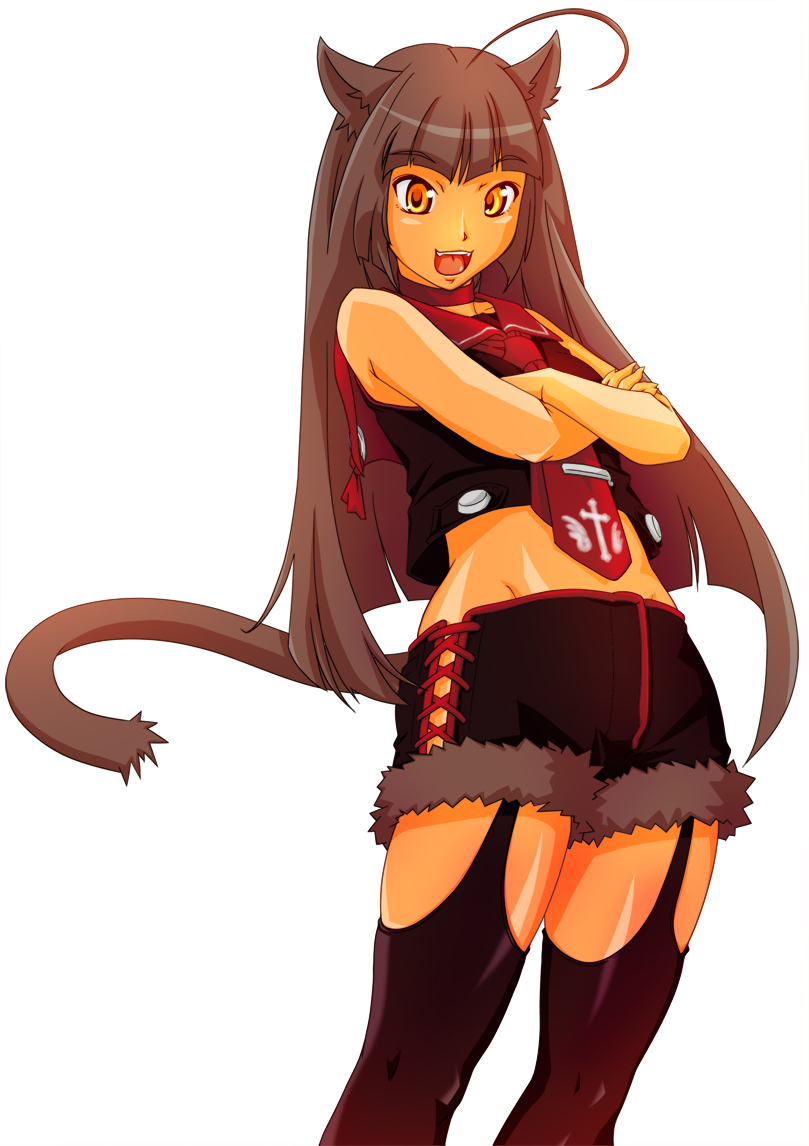 char (studio mint), bad id, bad pixiv id, ahoge, animal ears, brown hair, cat ears, cat tail, choker, crossed arms, long hair, midriff, necktie, orange eyes, shorts, solo, tail, thighhighs
