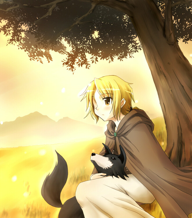 totoka, enekk, nora arento, spice and wolf, 00s, 1girl, black dog, blonde hair, cloak, dog, outdoors, sheepdog, shepherd, sitting, sky, sunset, tree, yellow eyes, yellow sky