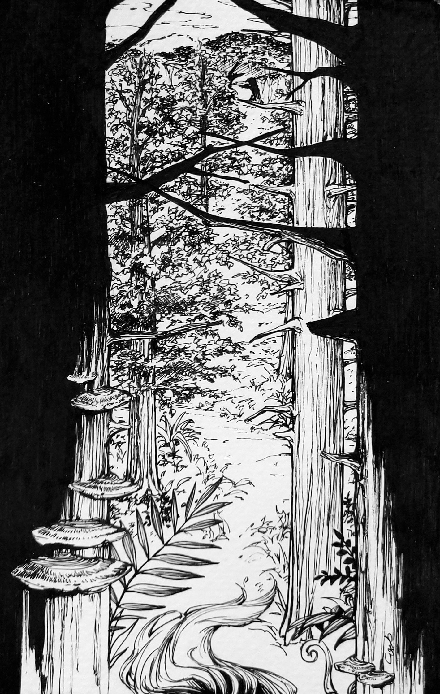 kandori makoto, epona, skull kid, nintendo, the legend of zelda, the legend of zelda: majora's mask, traditional media, fern, forest, grass, greyscale, horse, looking back, monochrome, mushroom, nature, pov