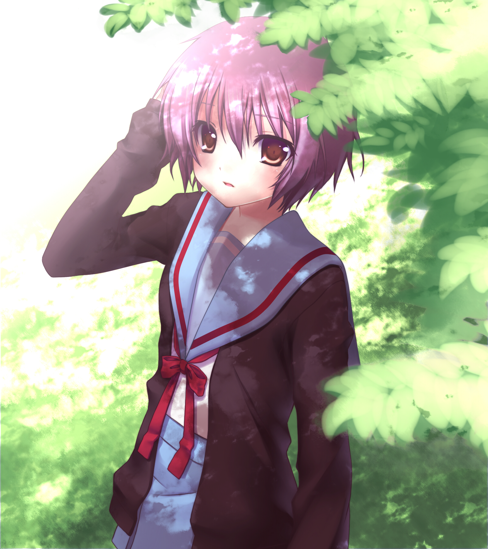 nana mikoto, nagato yuki, suzumiya haruhi no yuuutsu, highres, 00s, 1girl, brown eyes, female focus, nature, outdoors, purple hair, school uniform, serafuku, shadow, short hair, solo