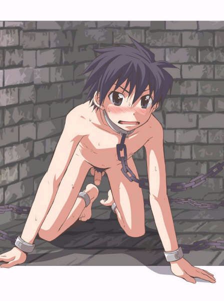 shima kyousuke, saito, zero no tsukaima, wall, 00s, 1boy, aged down, all fours, bdsm, blue hair, blush, bondage, bound, chain, chained, collar, completely nude, cuffs, facing viewer, full body, humiliation, indoors, leash, male focus, metal collar, nude, on floor, on ground, penis, pet play, prison, prison cell, pubic hair, running bond, sexual objectification, short hair, shota, slave, small penis, solo, stone floor, stone wall, sweat, uncensored